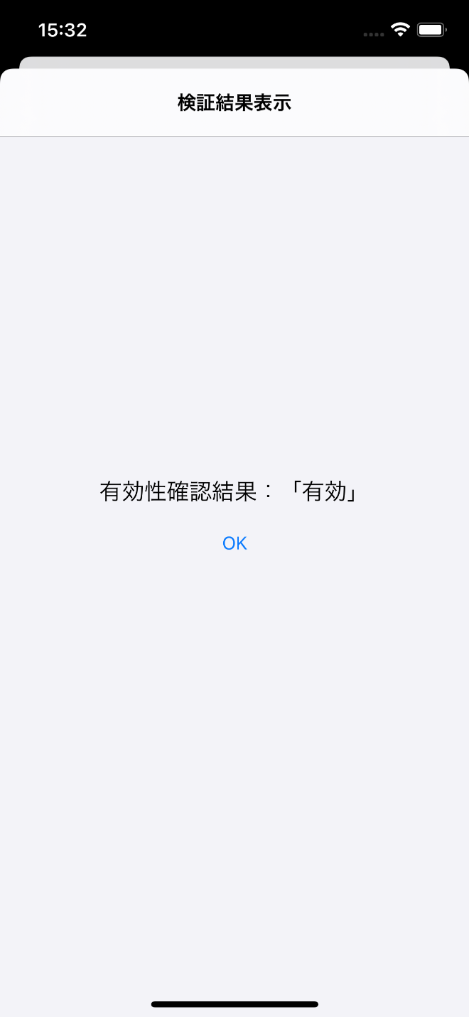 確認結果：有効性確認の画面の有効性確認結果表示イメージ