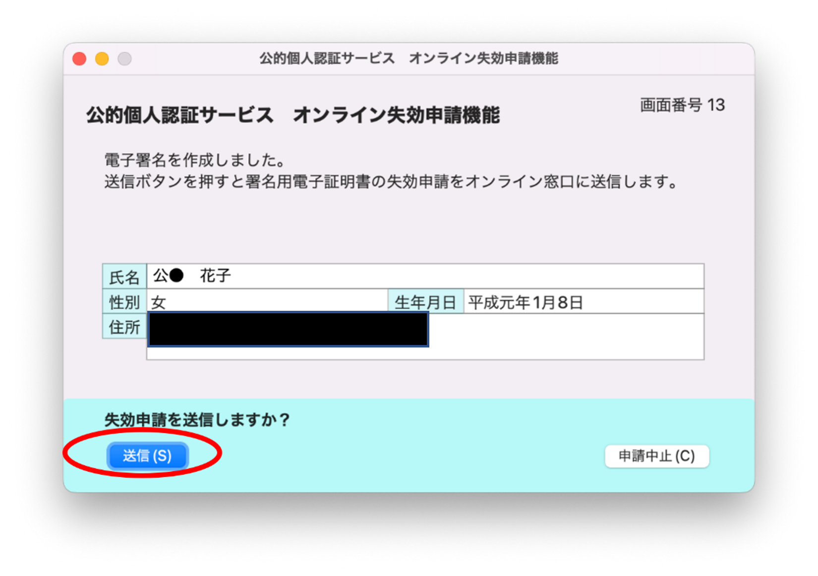 失効申請送信のイメージ13